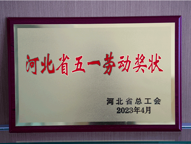 �ӱ�ʡ��һ�Ͷ���״-ʡ�ܹ���202304.png